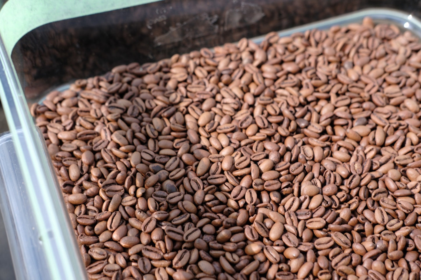 Picolot #14: Barbie Beans - Santa Felisa Guatemala Laurina Natural