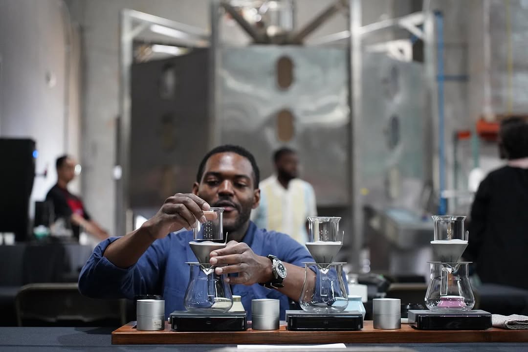 Picolot #21: Simba's Competition Coffee: Garrido Mokkita Cold Room