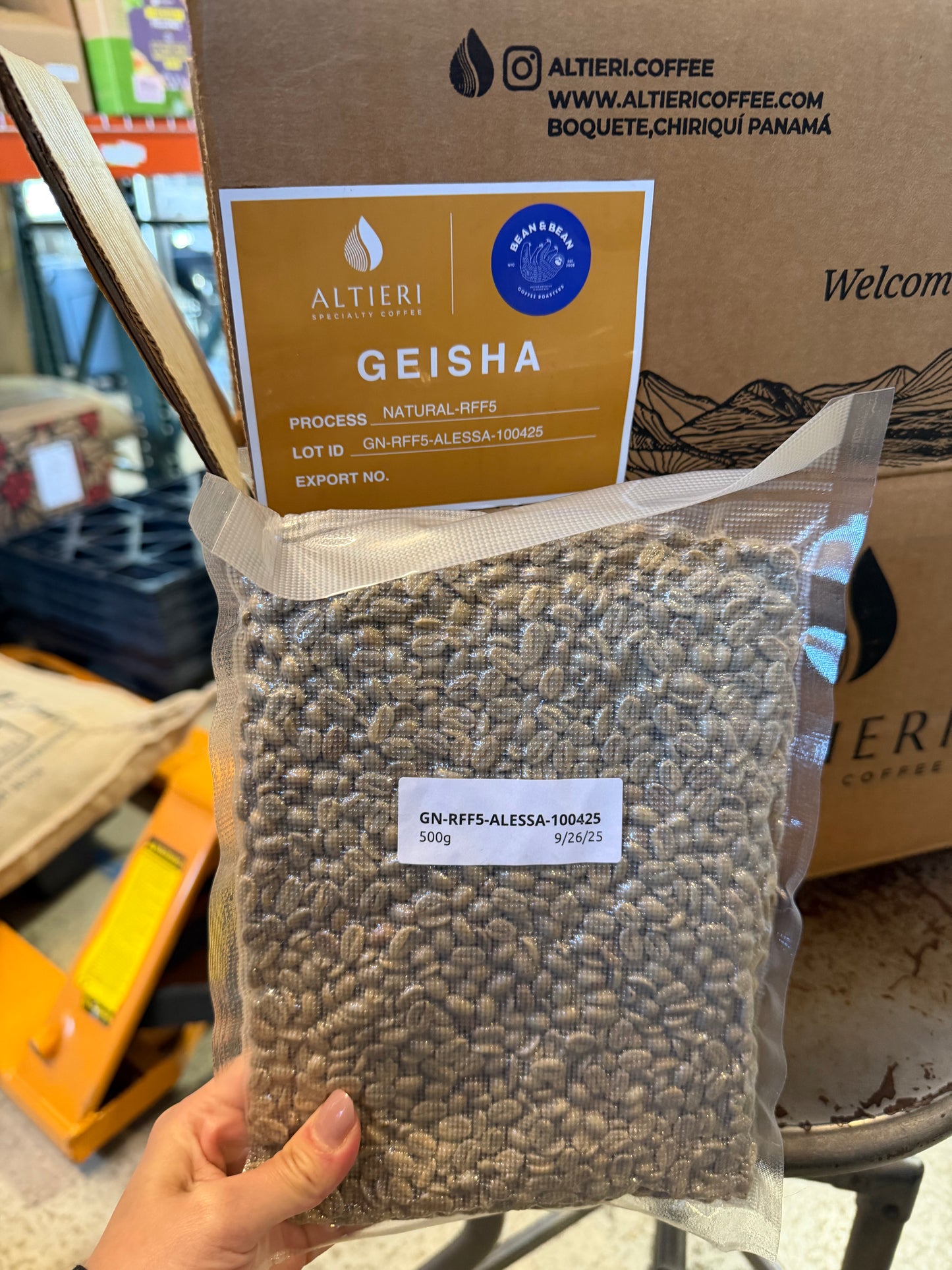 Picolot #3: River Dance of The Sugar Plum Fairy - Altieri Alessa Gesha Riverflow Natural [Drop #2]