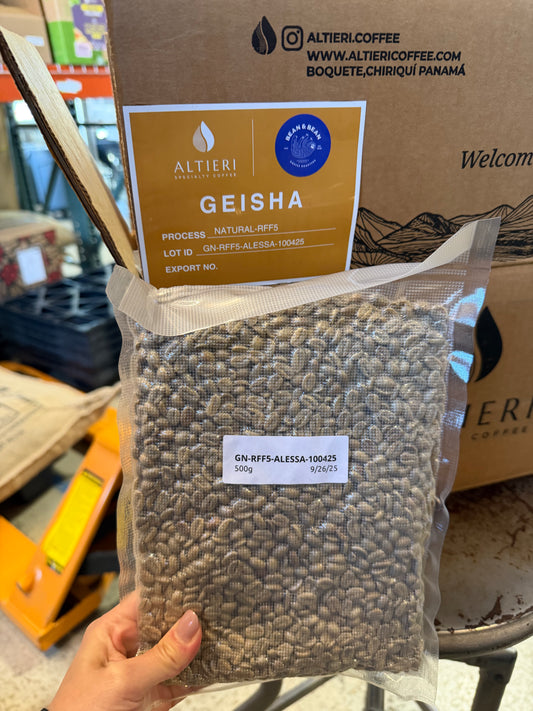 Picolot #3: River Dance of The Sugar Plum Fairy - Altieri Alessa Gesha Riverflow Natural [Drop #2]