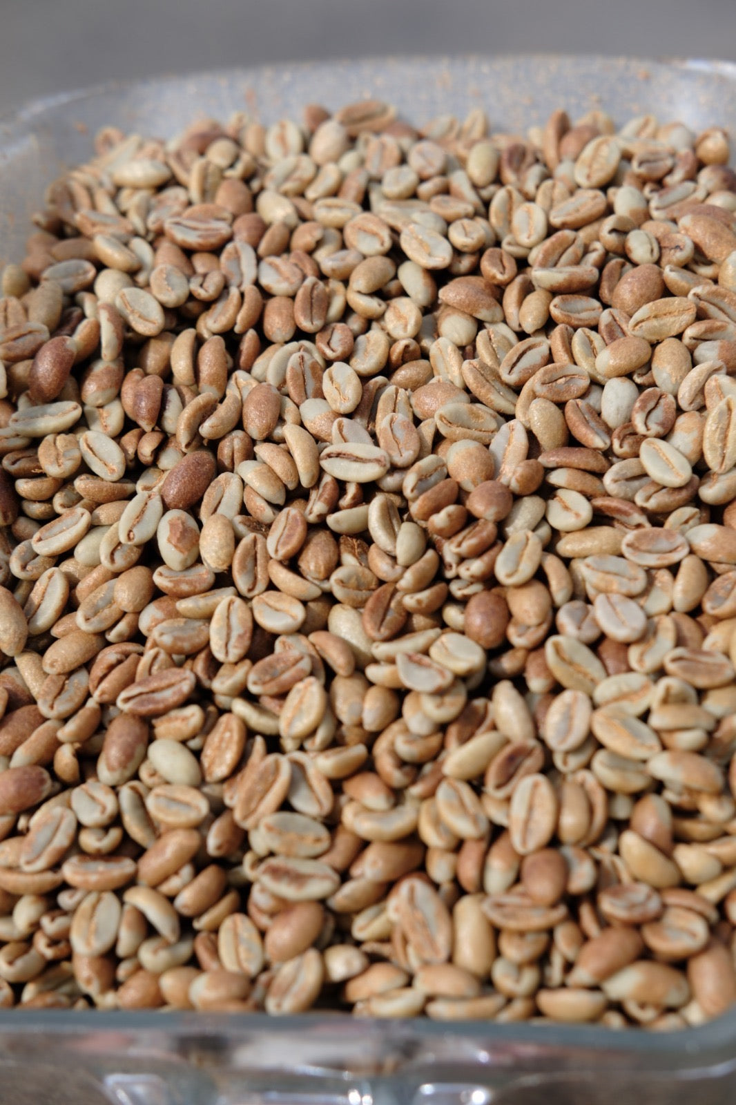 Picolot #14: Barbie Beans - Santa Felisa Guatemala Laurina Natural