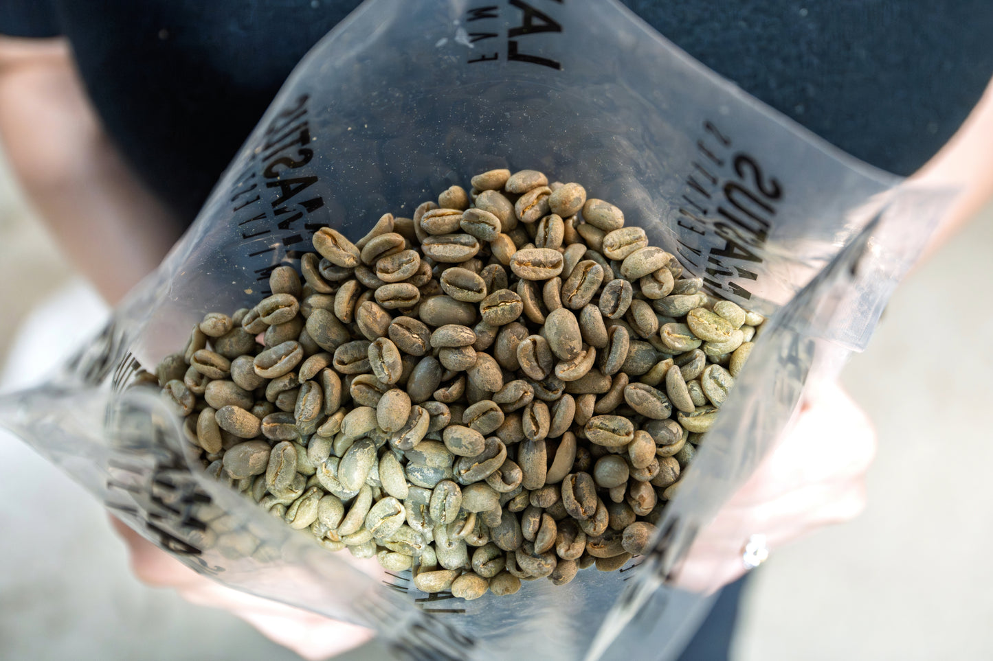 Picolot #10: Taste the Terror - Aguacatillo 2100 Washed DRD PA2404