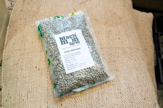 Picolot #12: One Kilo Wonder - Black Moon Washed Gesha