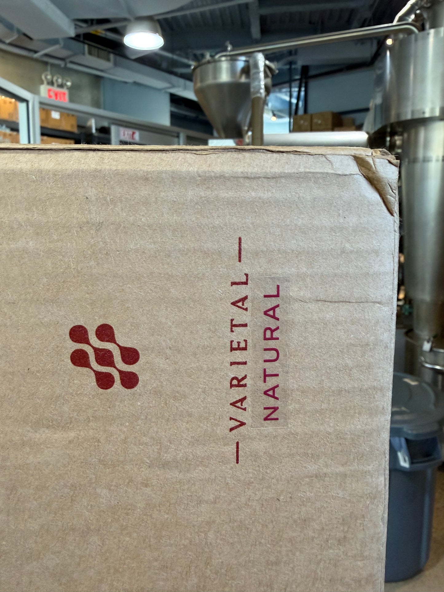 Picolot #4: Esme Jr. - Esmeralda SL34 Natural BANC El Velo