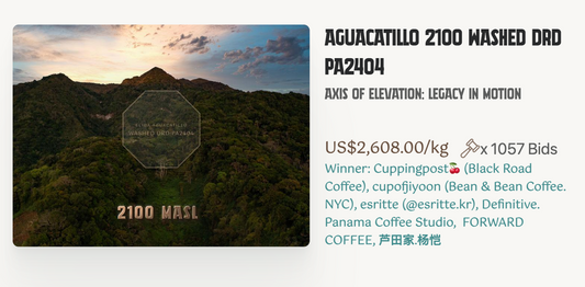Picolot #10: Taste the Terror - Aguacatillo 2100 Washed DRD PA2404