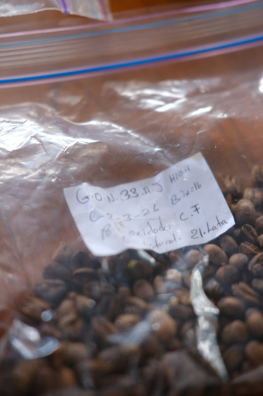 A close-up of dark brown coffee beans inside a clear plastic zip bag with a handwritten white label.
