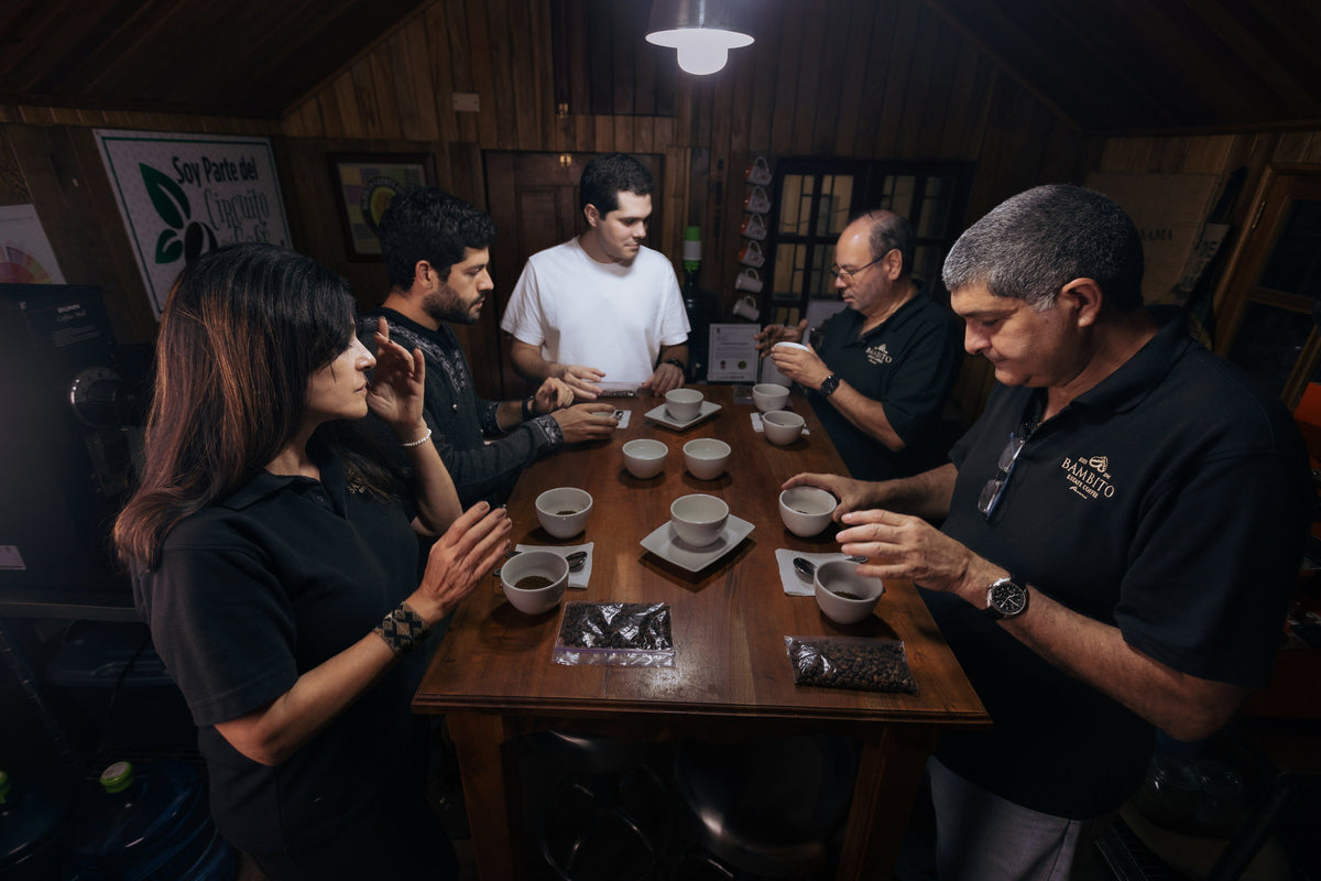 S202 Bambito Estate Geisha Washed Lot #5 *Member exclusive