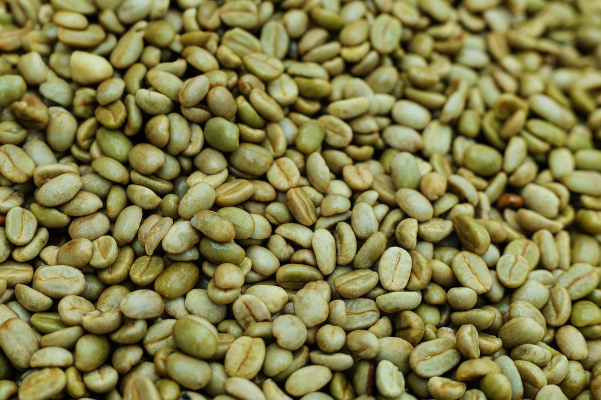 S202 Bambito Estate Geisha Washed Lot #5 *Member exclusive