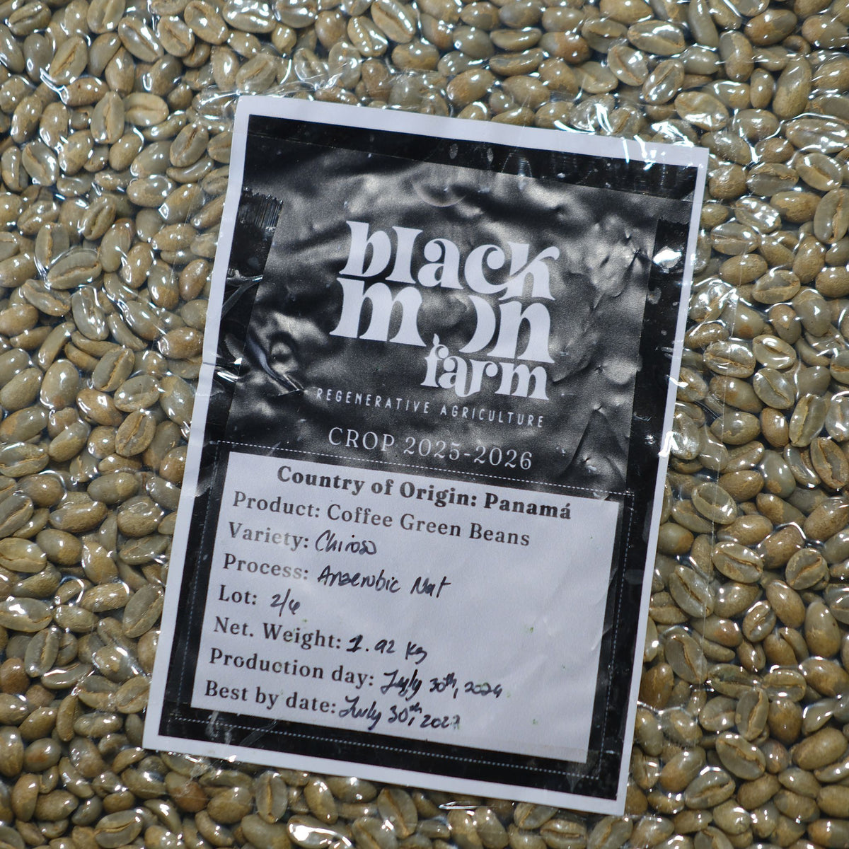 A clear plastic bag filled with green coffee beans, with a printed paper label showing the brand 'Black Mochi Farm' and product details for Panama 4, photographed from above.