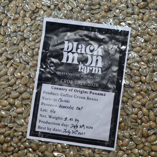 A clear plastic bag filled with green coffee beans, with a printed paper label showing the brand 'Black Mochi Farm' and product details for Panama 4, photographed from above.