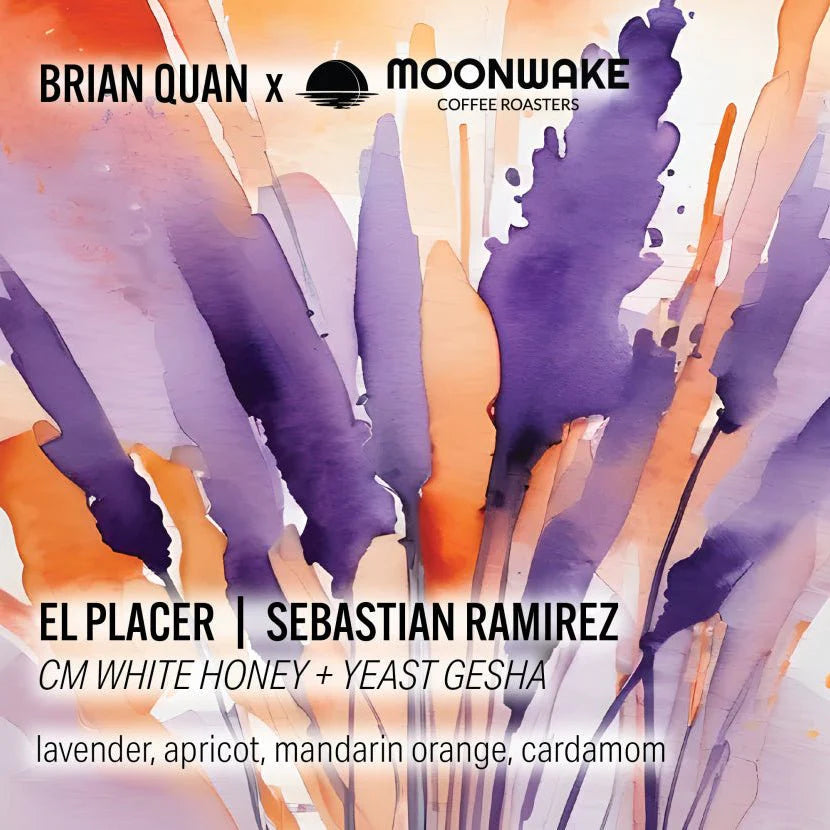 BQlot: Sebastian Ramirez White Honey Gesha