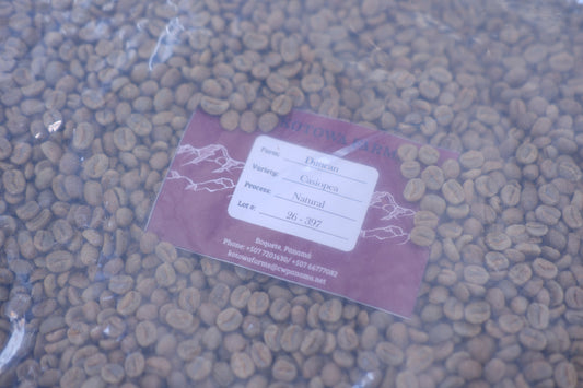 Vacuum-sealed green coffee from Kotowa Farms with a burgundy label reading Duncan, Casiopea, Natural, Lot 26-397.