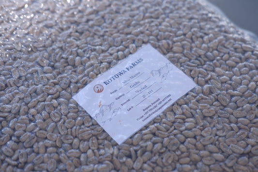 Vacuum-sealed green coffee from Kotowa Farms, labeled Silvia Marina, Geisha, Washed, Lot 26-444.